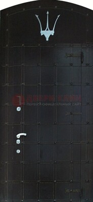 Металлическая арочная дверь ДА-22 высокого качества в Можайске