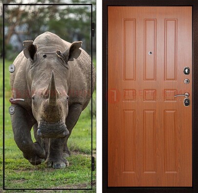Металлическая дверь с фотопечатью носорога ДФ-31 в Можайске